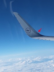 winglets A320.jpg