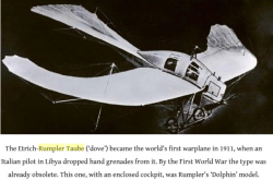 Rumpler Delfin Taube.png